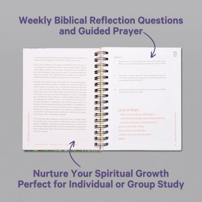 A Blessed Year in the Bible Study